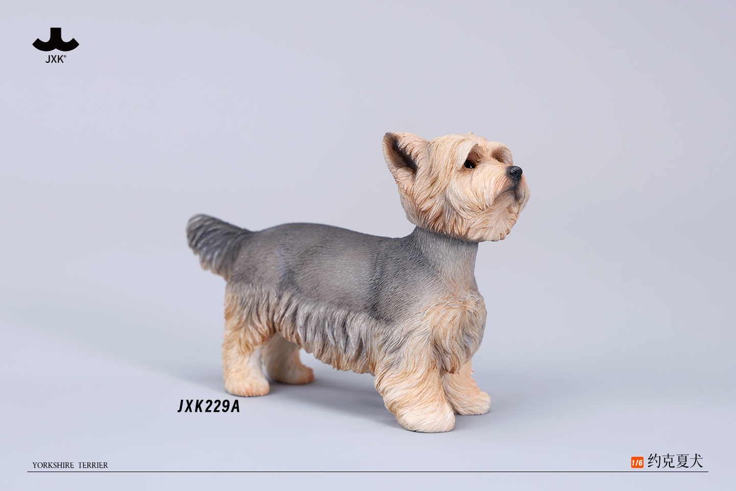 [สั่งจอง] JXK 1/6 Yorkshire Terrier Figurine