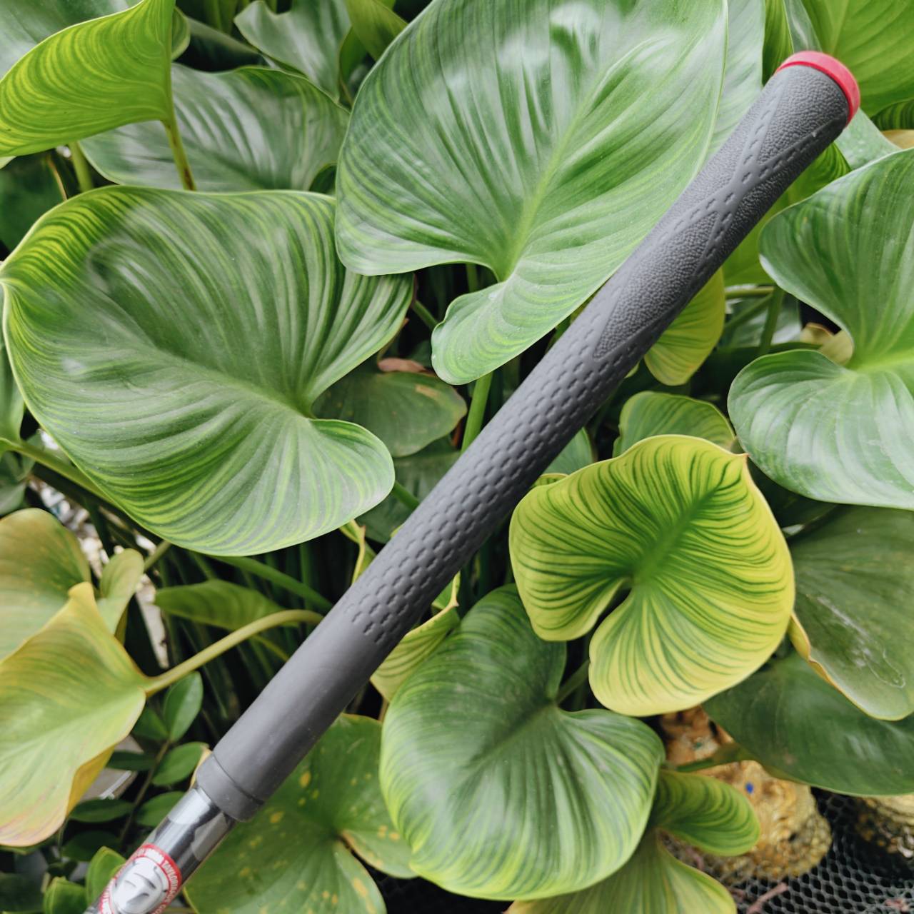 Taylormade STEALTH Driver 9° – ก้าวข้ามยุคใหม่ของ “Carbonwood” ที่เร็ว แรง และไกลกว่าเดิม!