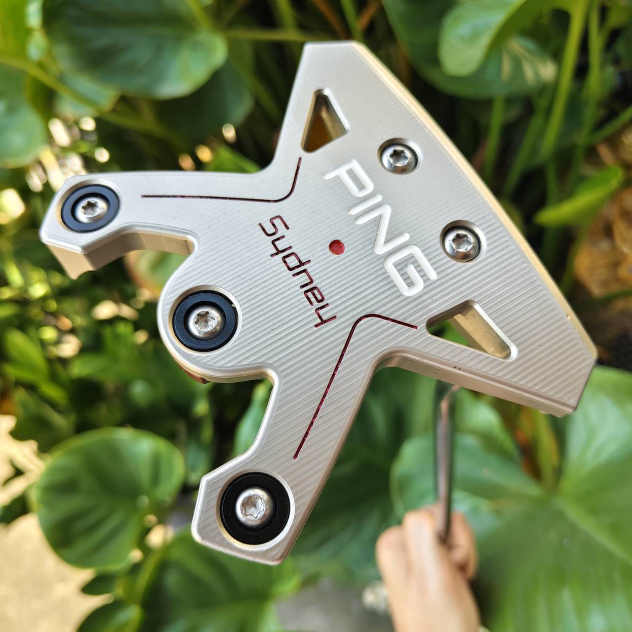 PUTTER PING Sydney 34" เป็นหนึ่งในรุ่นที่มีค่า MOI (Moment of Inertia) สูงสุดของ PING