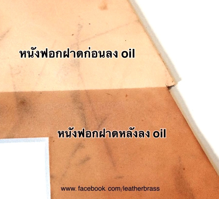 TT027 Neatsfoot Oil 500 ml น้ำยาบำรุงหนัง อุปกรณ์สำหรับงานหนัง leatherbrass**ราคาต่อขวด**