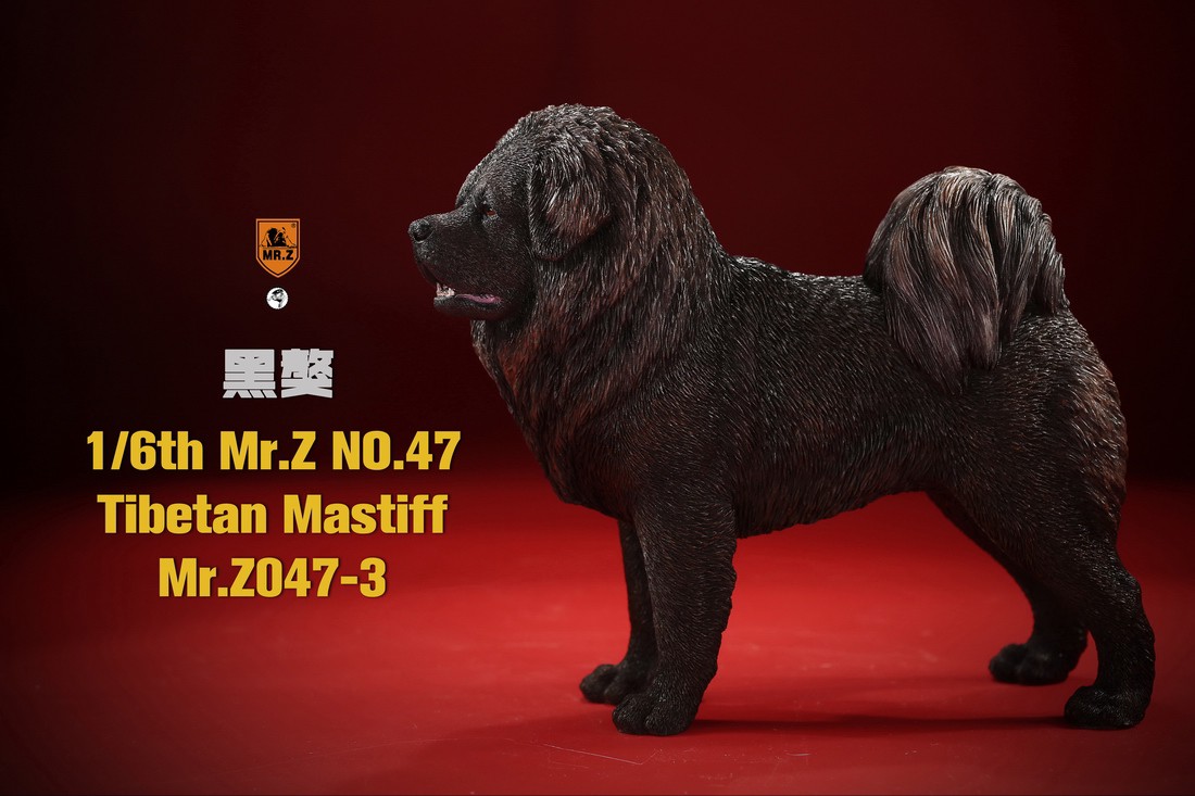 [สั่งจอง] MR. Z Animal Model MRZ047 1/6th Tibetan Mastiff