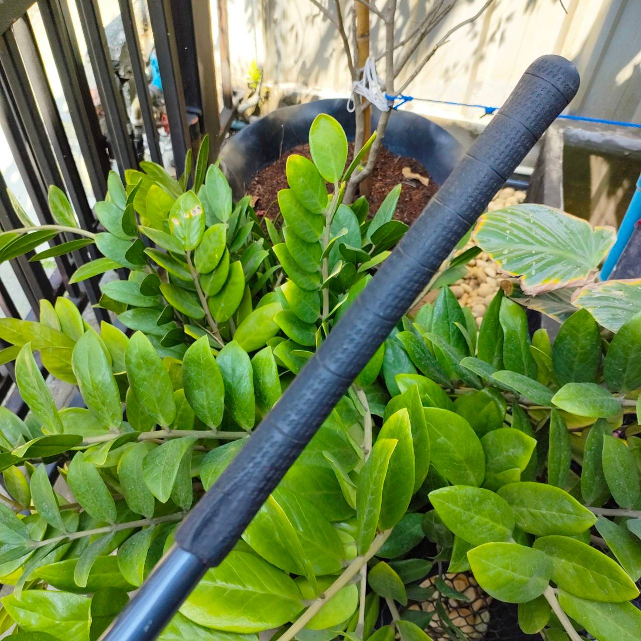 DRIVER TAYLORMADE R360 XD องศา 9.5 ก้าน R360 XD FLEX S เป็นรุ่นที่หัวใหญ่สุดในซีรี่ย์ ไม้กอล์ฟพรีเมี่ยมมือสอง By NakaraLuxurious