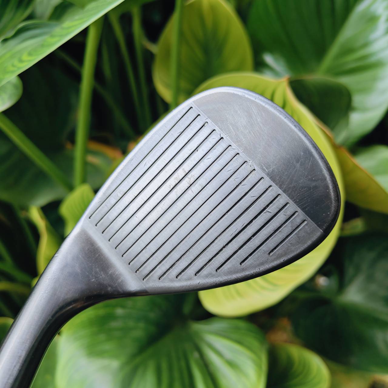 WEDGE CG12 ZIP GROOVE 56° BOUNCE 10 – ช็อตรอบกรีนแม่นยำ เหมาะระเบิดทราย!