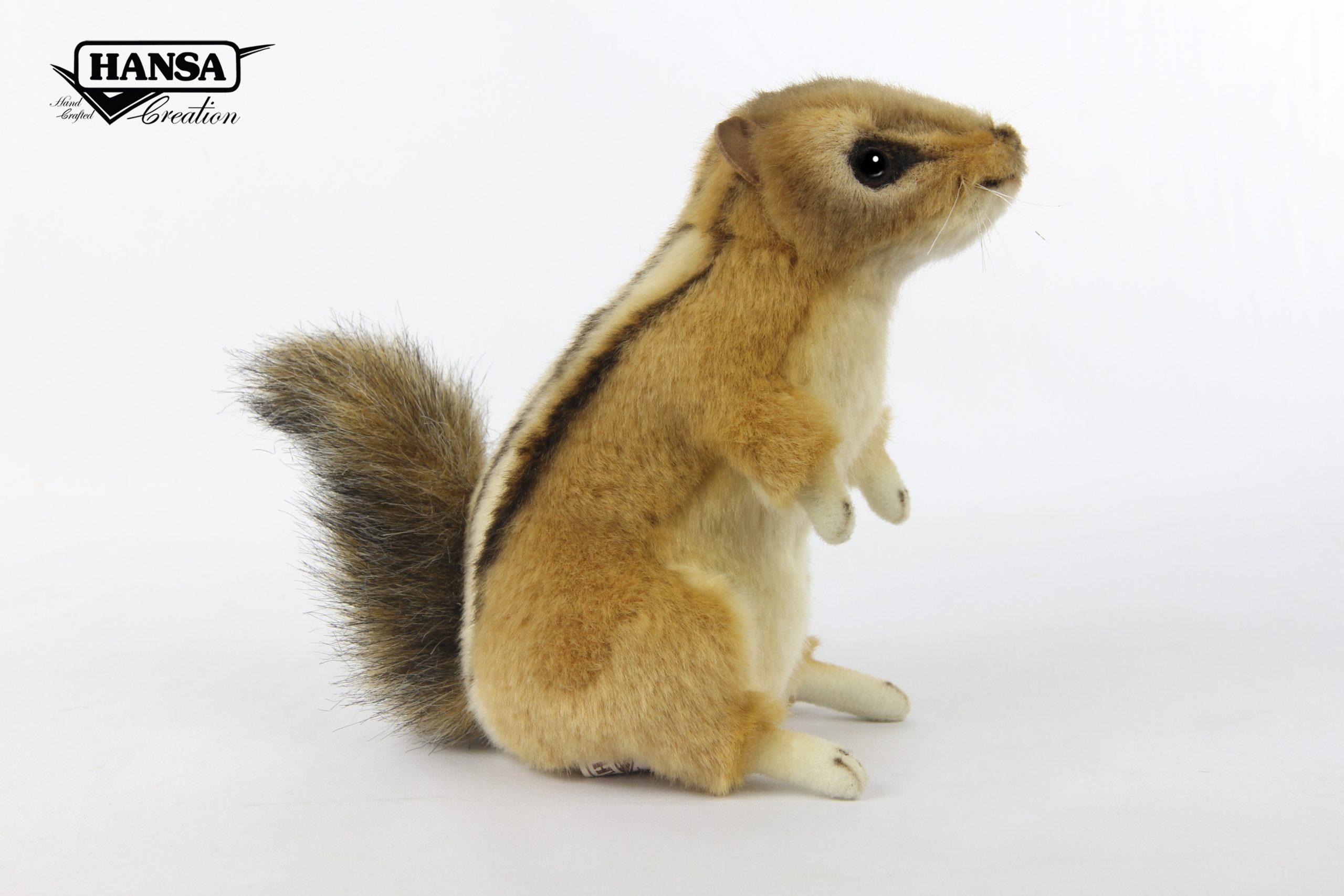 8206 Chipmunk 23cm.L