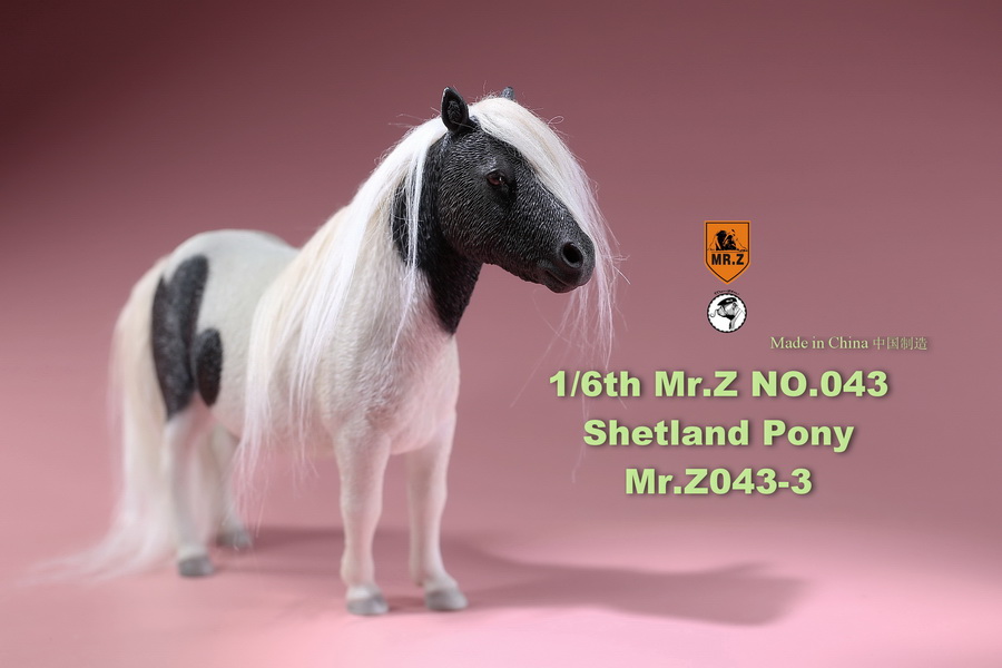 [สั่งจอง]น้องม้าน้อยโพนี่ 1/6 MR. Z Animal Model MRZ043 1/6th Shetland Pony(all 5 colors)