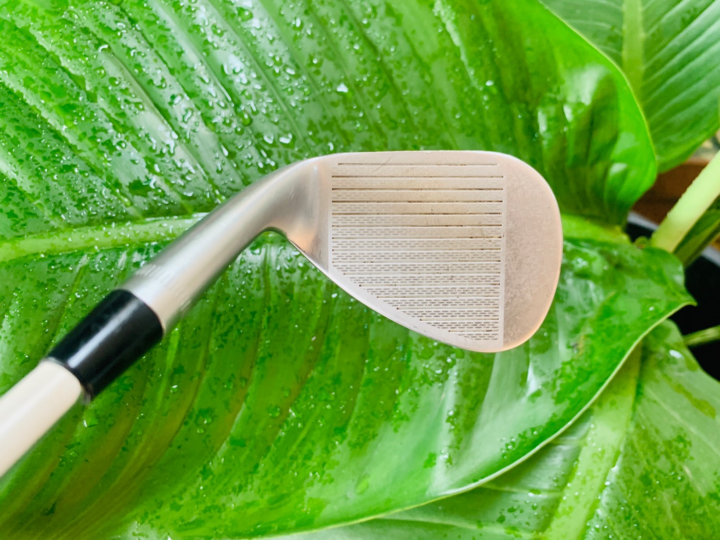 WEDG 58/14 c CALLAWAY MACK DADDY2