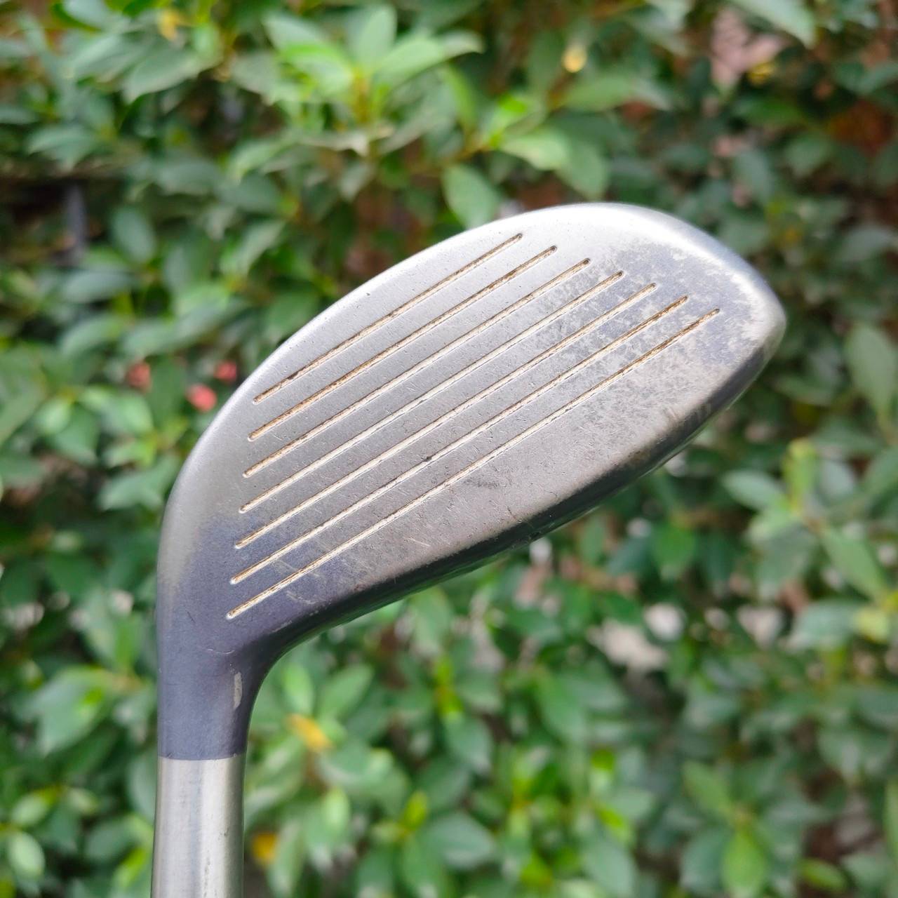 FW5 TAYLORMADE RESCUE 200 องศา 17 ก้าน ORARHITE หัวใหญ่ 200 CC ตีง่ายมากๆ ด้านล่างสอดพื้นมากๆ เสียงเพราะๆ