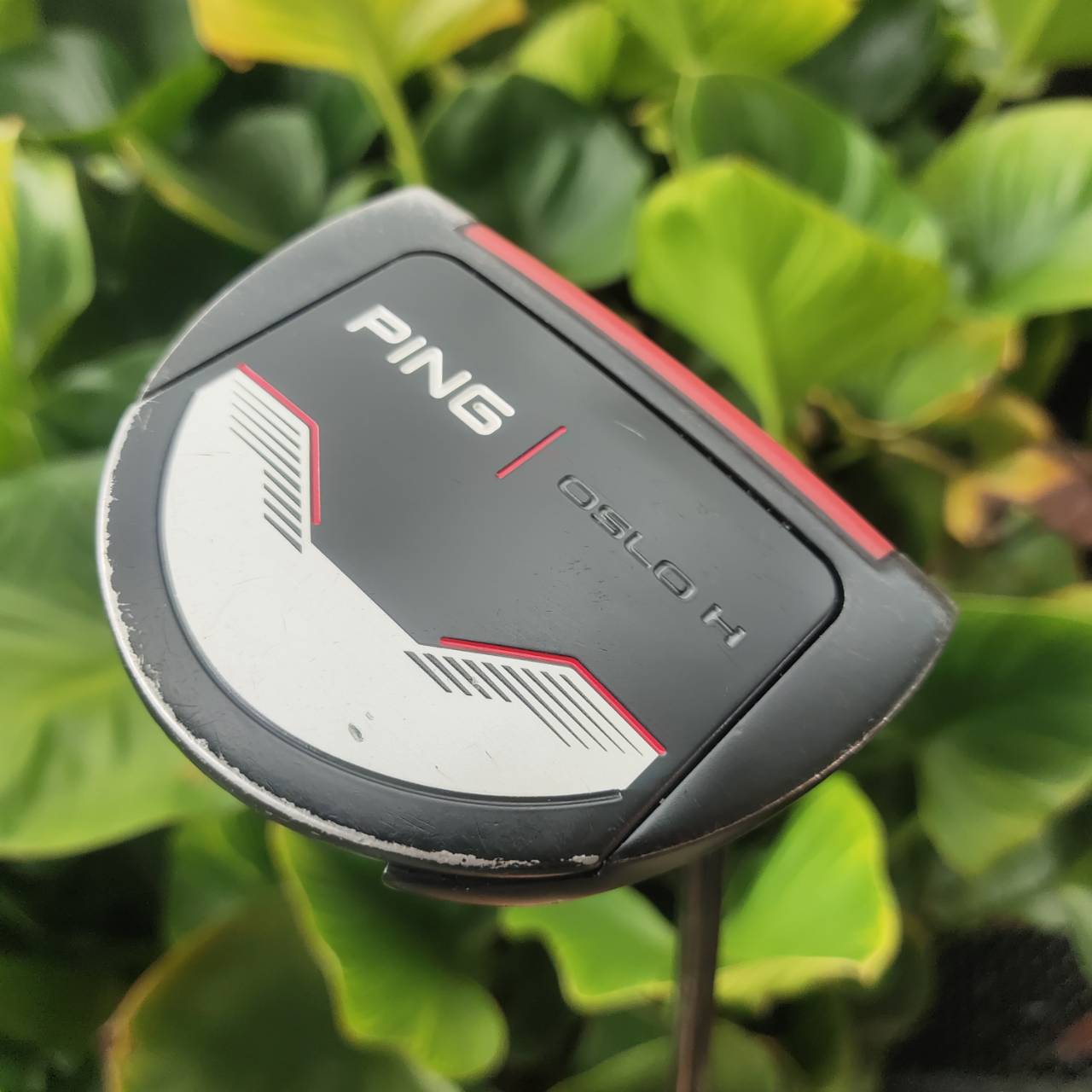 PUTTER PING OSLO H Face Insert แบบ Dual-durometer มีสองความหนาแน่น ชั้นบน (soft) ชั้นล่าง (firm)