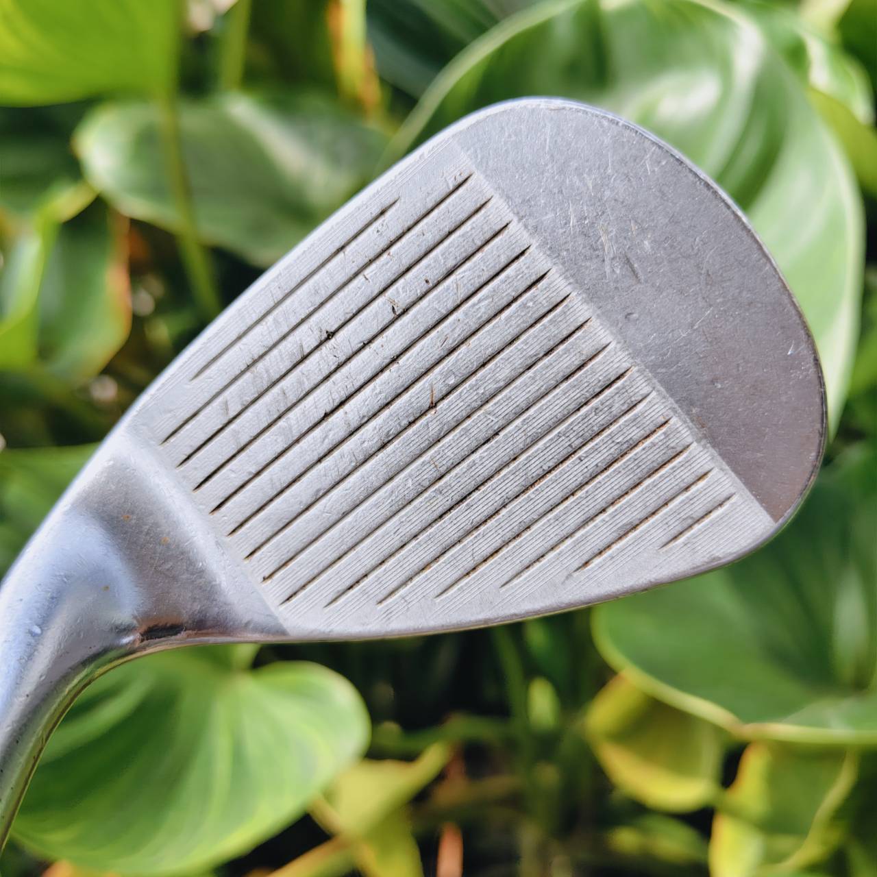 ตกหยุด สั่งได้! เวดจ์ฉลาม Callaway JAWS 52 BOUNCE 10