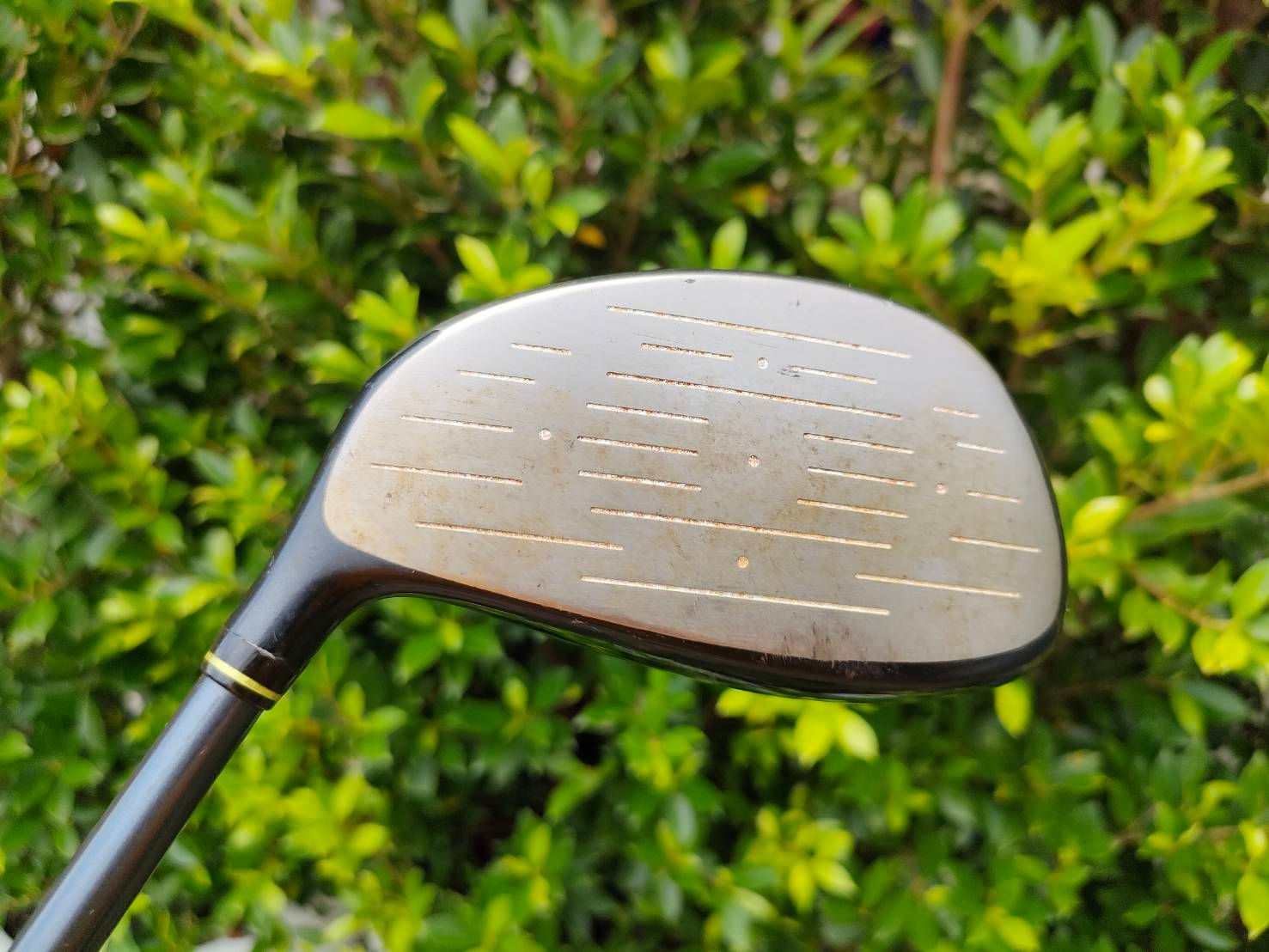 Driver MIZUNO PRESAGE
