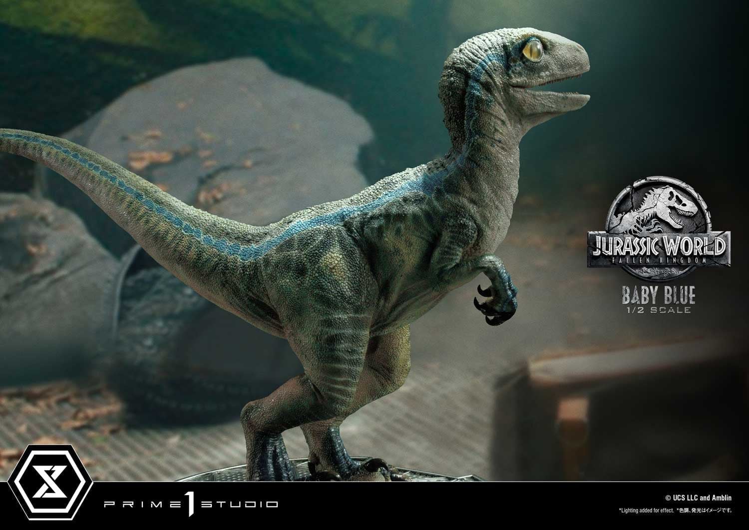 [สั่งจอง]Prime 1 Studio LMCJW2-08 1/2 : (Jurassic World : Fallen Kingdom) - Baby Blue