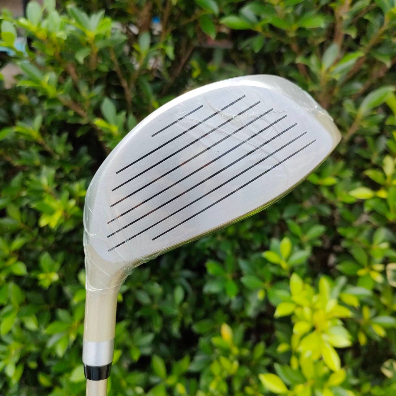 ไม้กอล์ฟครบชุด GOLF MATE EAGLE พร้อมออกรอบได้เลย สภาพนางฟ้า ไม้ยังอยู่ในซีนทั้งหมด แกะแค่พัตเตอร์ มีหัวไม้ครบ 1 3 5 ชุดเหล็ก 4-9 PW SW ตีง่าย น้ำหนักเบา มือใหม่ มือกลาง ต้องการไม้ครบชุด พลาดไม่ได้