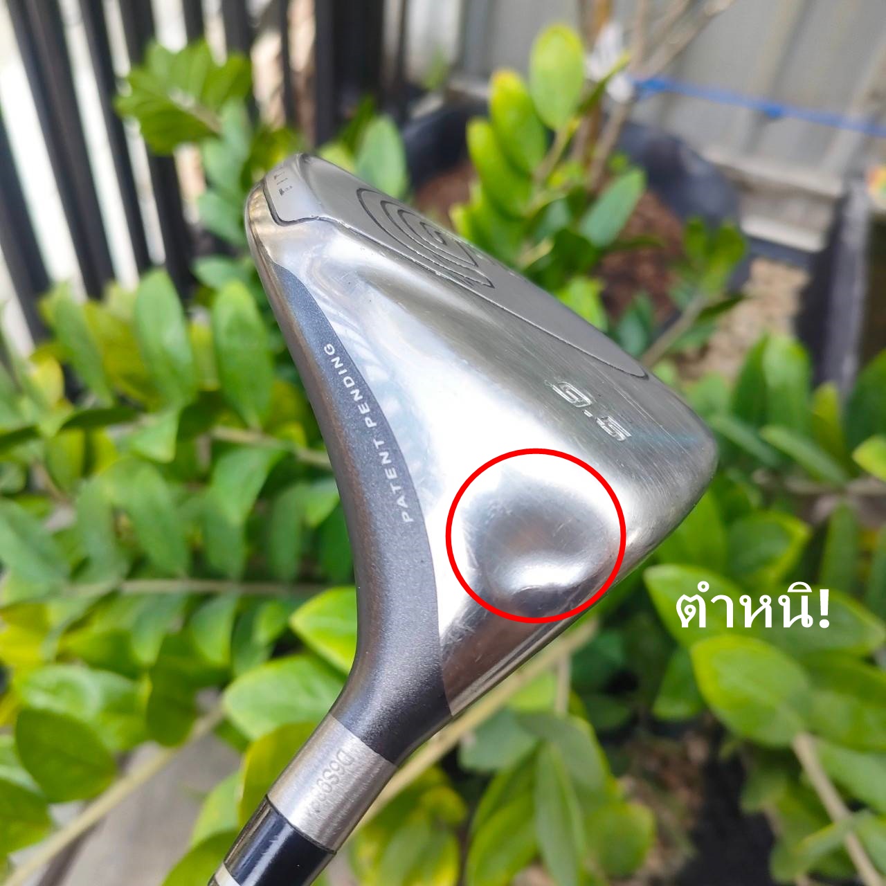 ** มีรอยบุบ 1 จุด ** DRIVER CLEVELAND HI BORE องศา 9.5 ก้าน SUPER FERRITE CARBON FLEX S-2 กระดองปาดลง ตำให้จุด CG ลงต่ำเป็นอย่างมาก ตีลูกลอยง่าย เด้งไกล ไม้กอล์ฟพรีเมี่ยมของแท้ By NakaraLuxurious