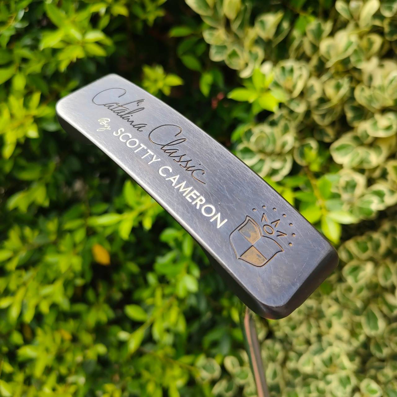 Scotty Cameron Catalina Classic ความยาว 34 นิ้ว สวยมากๆ พร้อม COVER เดิม เป็นรุ่น LIMITED หายากมากๆ ตอนนี้มืองสอง ราคาในต่างประเทศ ประมูลพุ่งไปถึง 5 หมื่นบาท สุดยอดของสุดยอดคุณภาพ สวย เดิม COVER เดิม