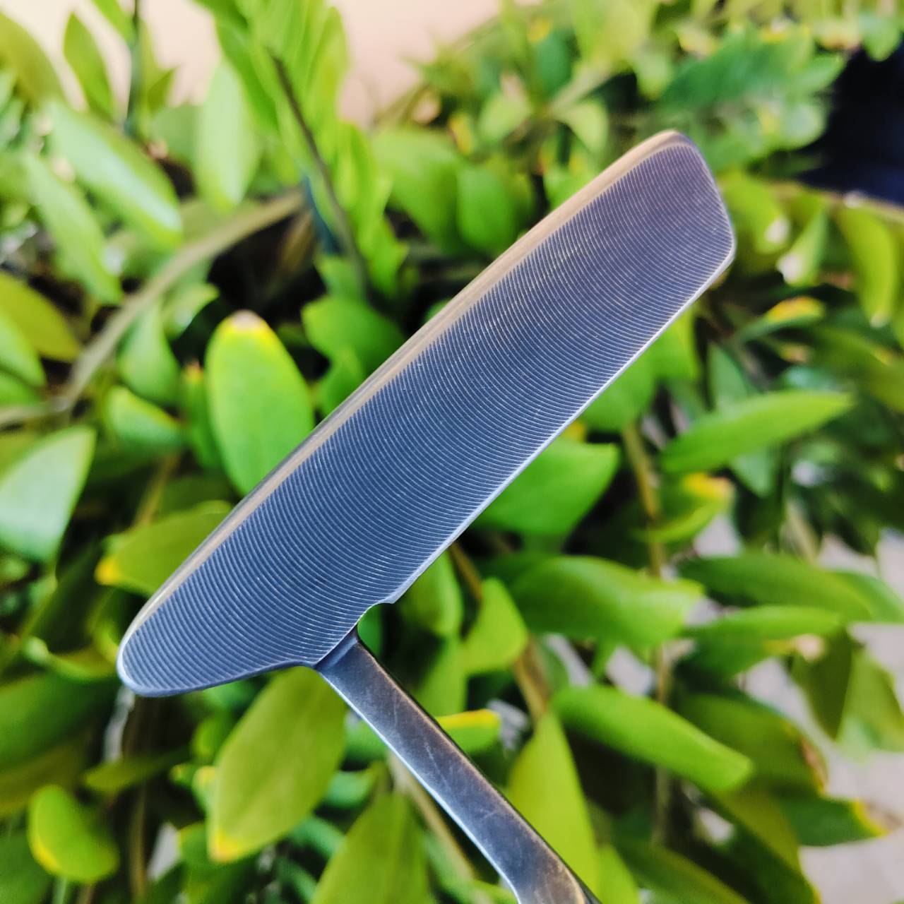 *** กริพเสือม *** PUTTER MD Golf Seve Ballesteros Players Signature Blade ยาว 34 นิ้ว สุดยอดพัตเตอร์ทรงเบลด หน้าสัมผัส MILLED ลึก เกาะไลน์สุดๆ ไม้กอล์ฟพรีเมี่ยมมือสอง ของแท้ By NakaraLuxurious