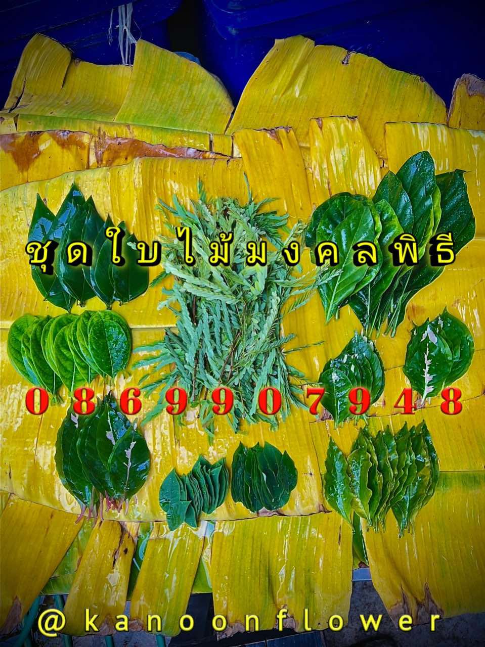 ใบไม้มงคล (พิธี)