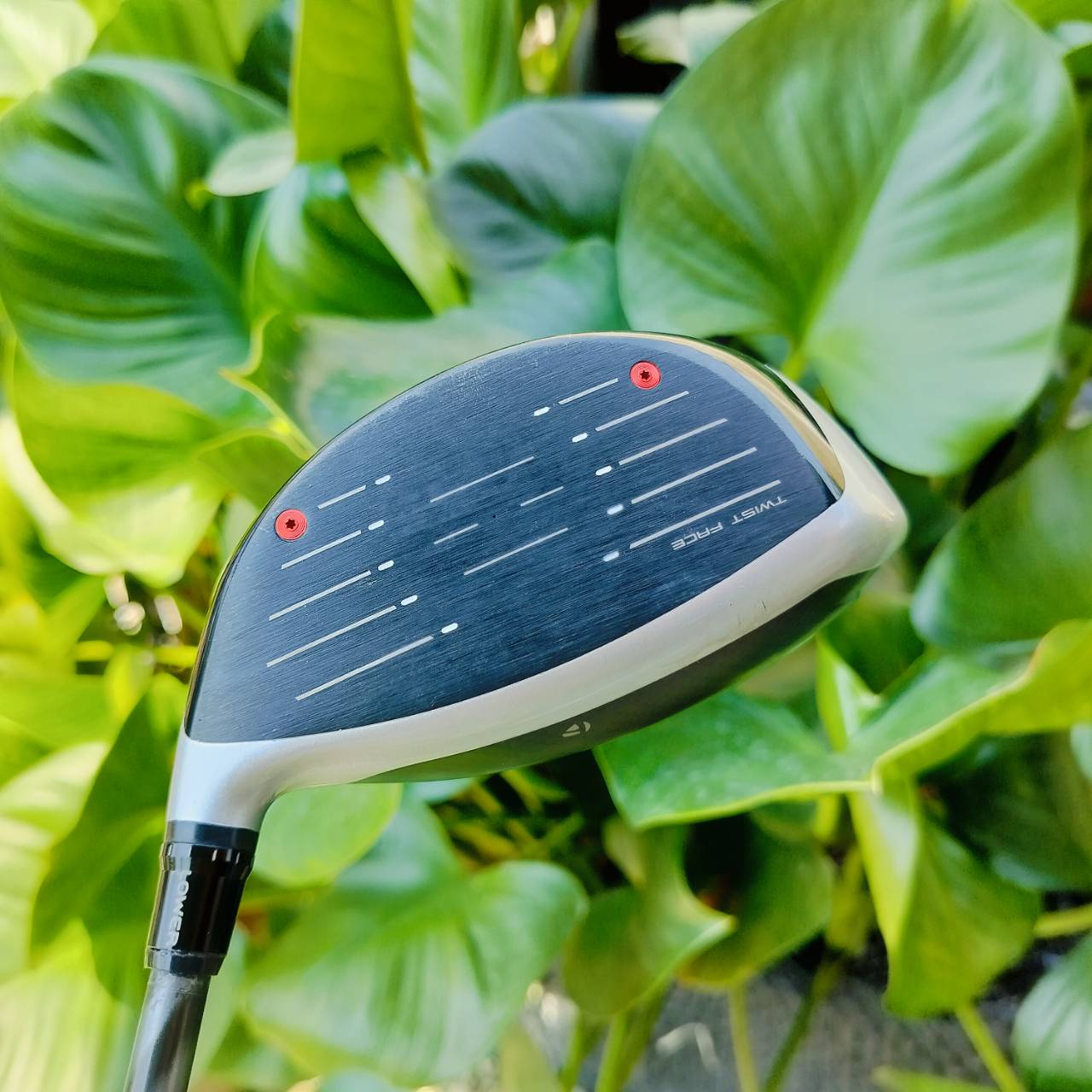 Driver Taylormade M6 องศา 10.5 มี COVER แท้เดิม กริพ IOMIC JAPAN ก้าน FUJIKURA SPEEDER569 EVOLUTION IV FLEX S .ออกแบบหน้าไม้พิเศษสุด ไม้กอล์ฟพรีเมี่ยมมือสอง ของแท้ By NakaraLuxurious