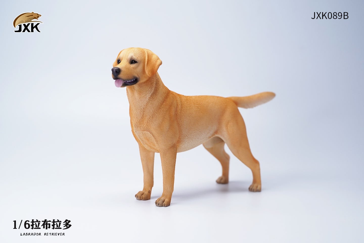 [สั่งจอง]JXK JXK089 1/6 : Labrador