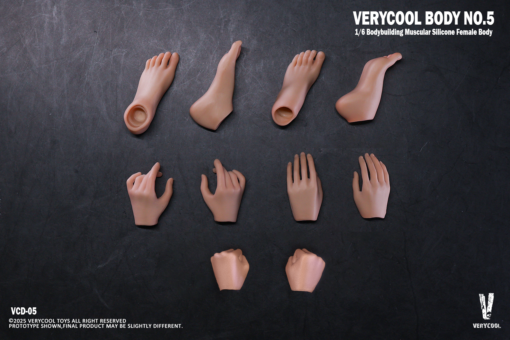 [สั่งจอง]VERYCOOL VCD-05B 1/6 : Silicone Female Body Bodybuilding Muscular Physique Natural Skin Tone