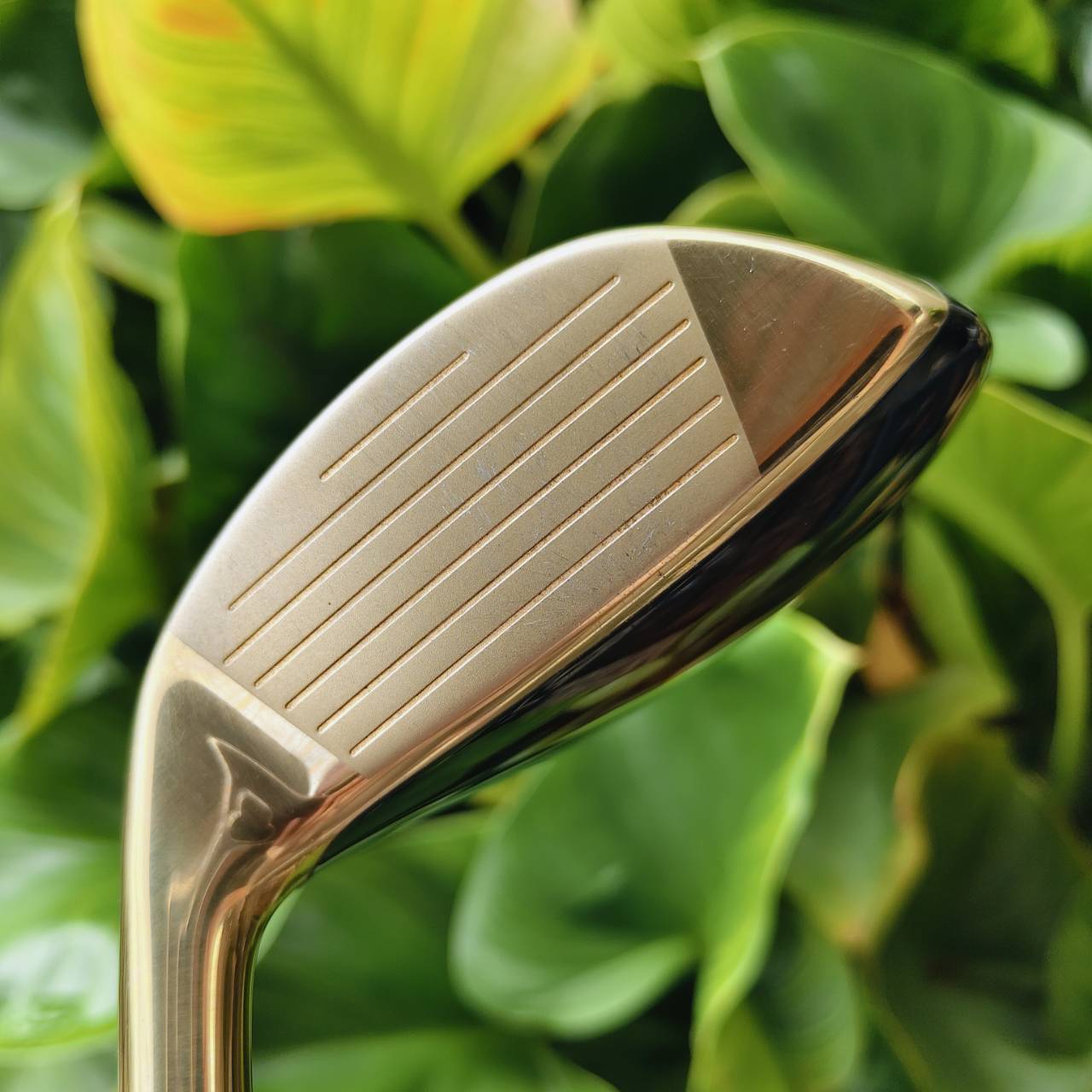 4W SWORD SNIPER – 19° ตีไกลมาก ตรงมาก สีทองหรูหรา พรีเมี่ยมญี่ปุ่นหน้าเด้ง เสียงหวานเจี๊ยบบบบ