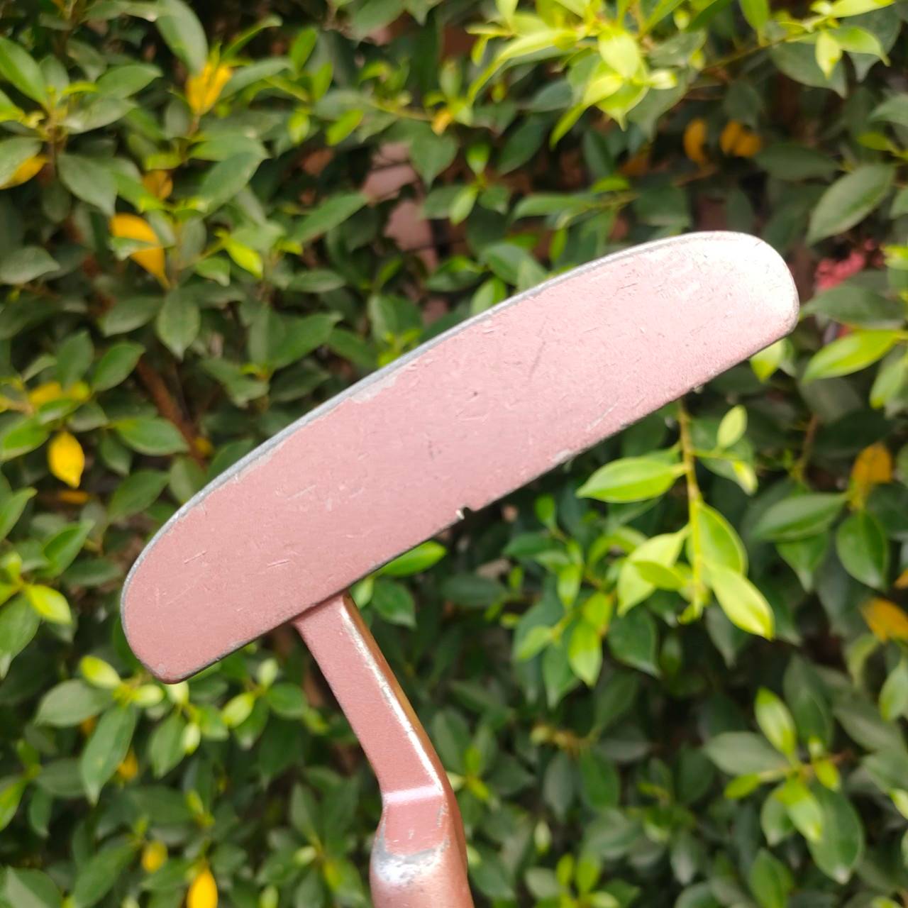 ** ไม้กอล์ฟผู้หญิง ** PUTTER NOULI ความยาว 33 นิ้ว ก้าน GOLF PLANNER MADE IN JAPAN