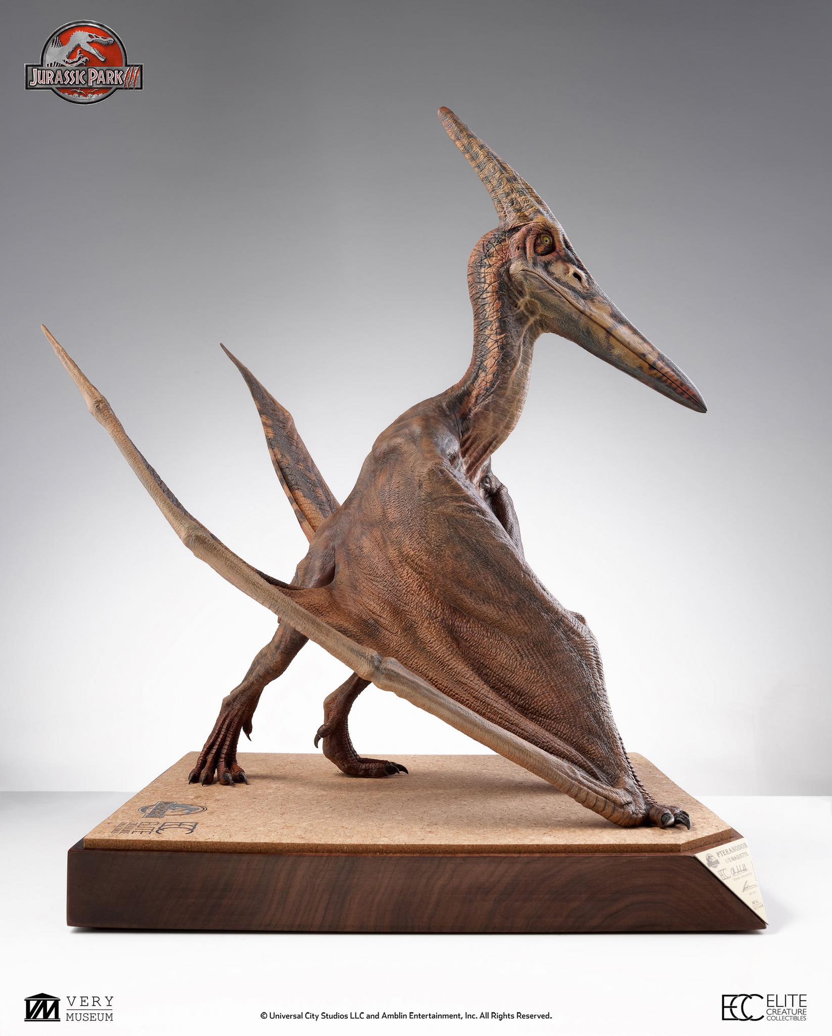 [สั่งจอง]ECC : Pteranodon Prop Replica (Jurassic Park III)