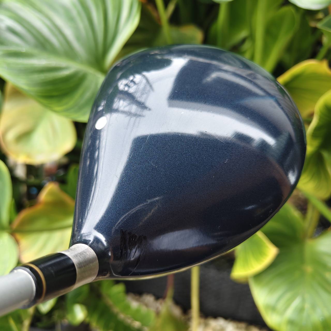 Driver Cleveland Ti 460 – พุ่งแรง ควบคุมง่าย ระยะมาแบบจัดเต็ม!