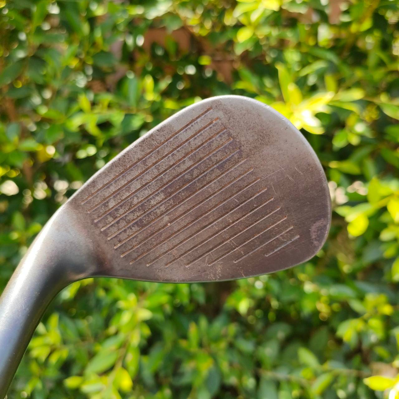 WEDGE MIZUNO MP-T10 องศา 60 BOUNCE 5 ก้าน DYNAMIC GOLD FLEX WEDGE WEDGE สนิม วันสุ GAIN FLOW FORGED สุดพรีเมี่ยมจากญี่ปุ่น สุดๆ ร่องหน้าไม็ QUARD CUT สปินแบบโหดจัดเลยครับ