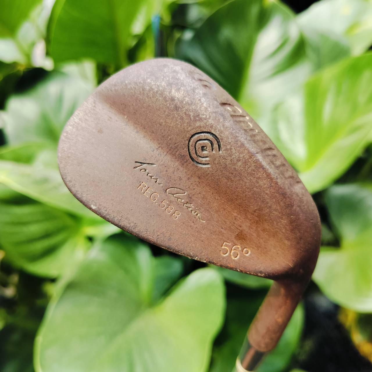 WEDGE CLEVELAND REG588 สนิม องศา 56 ก้านเดิม WEDGE FLEX เป็นรุ่น 588 ดั่งเดิมที่โด่งดังเป็นพลุแตก รุ่นนี้สุดคลาสสิคและเป็นรุ่นสนิมยอดนิยม ไม้กอล์ฟพรีเมี่ยมมือสอง ของแท้ By NakaraLuxurious
