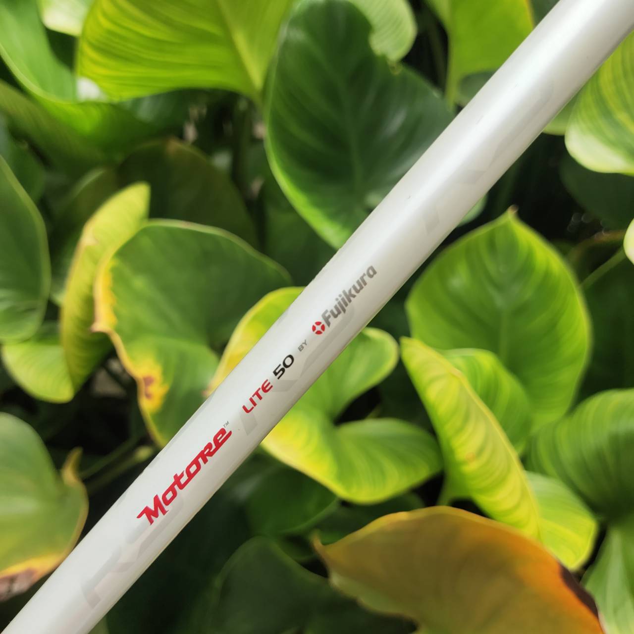 Driver Taylormade R9 MAX หายากมาก!!! "TYPE E" เวอร์ชันพิเศษสำหรับตลาดญี่ปุ่น ตีไกลแบบเต็ม MAX