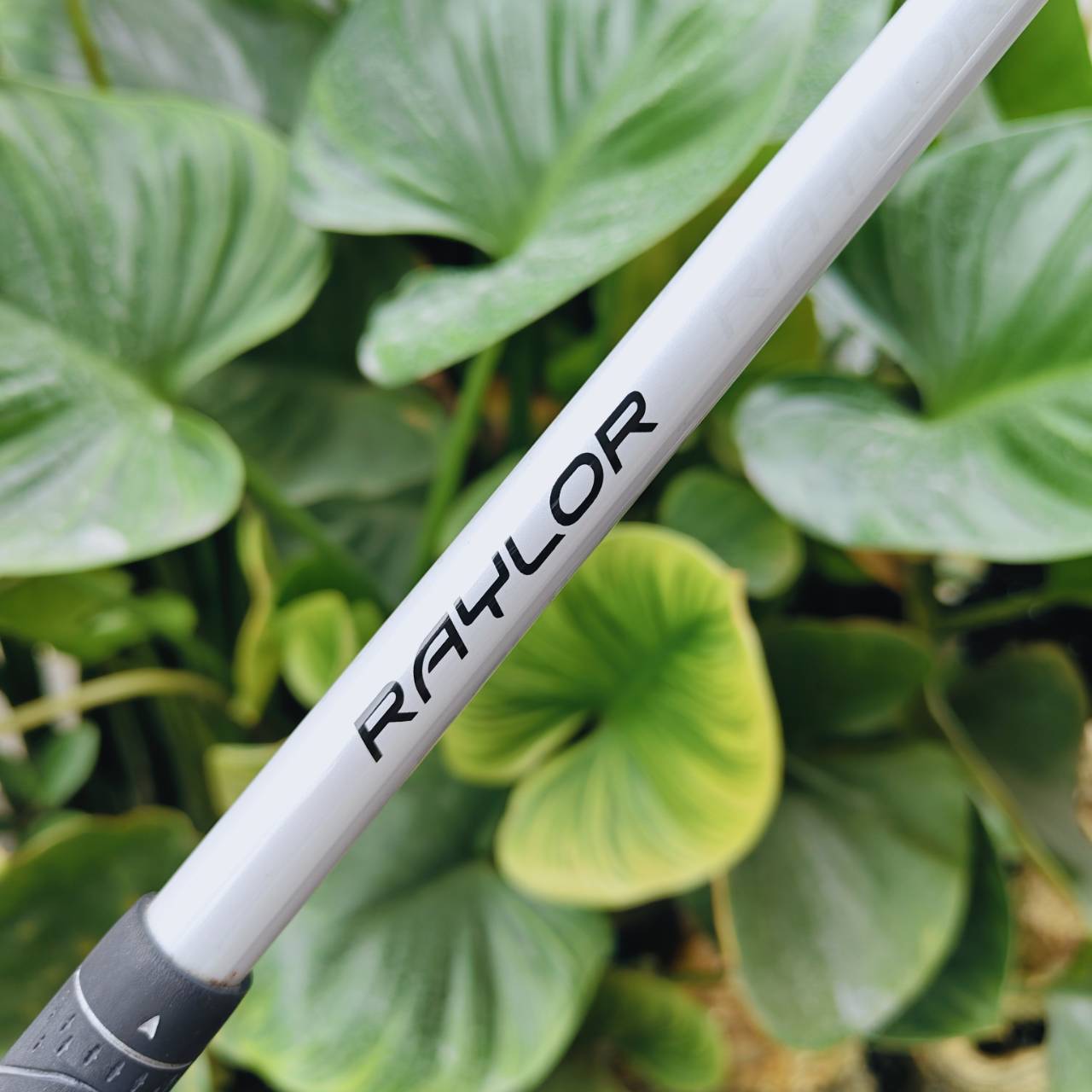 TaylorMade Raylor Hybrid ตัวช่วยตีลูกจากรัฟได้อย่างมั่นใจ! องศา 22° FLEX R