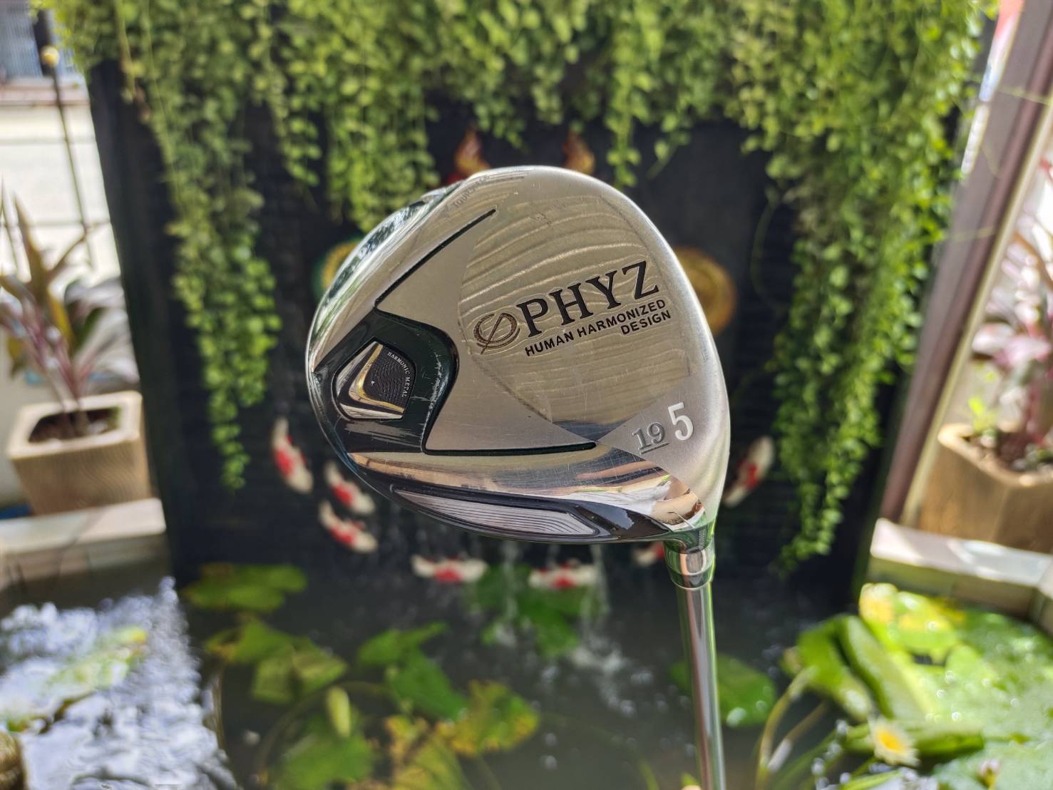 Fairwaywoods PHYZ