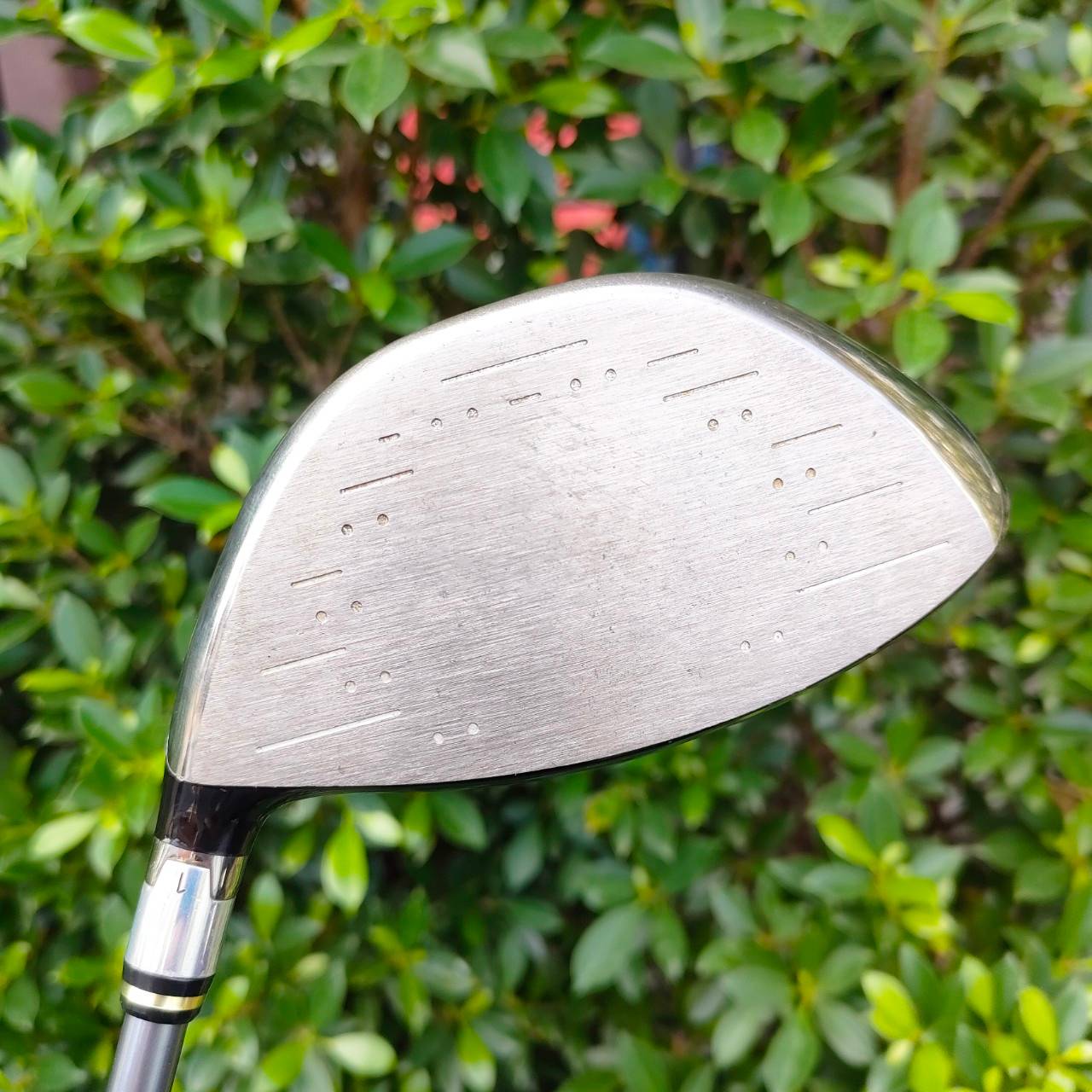 DRIVER KING COBRA L5V ก้าน DIAMANA FLEX R องศา 10.5 *** แค่ก้านก็เกินคุ้มแล้วครับ *** ก้านอย่างเดียวใหม่ๆเป็นหมื่น!!! หัวใหญ่ COBRA เน้นไม้ที่ตีง่าย ช่วยรีดพลังออกมา ช่วยเพิ่มระยะมากๆ