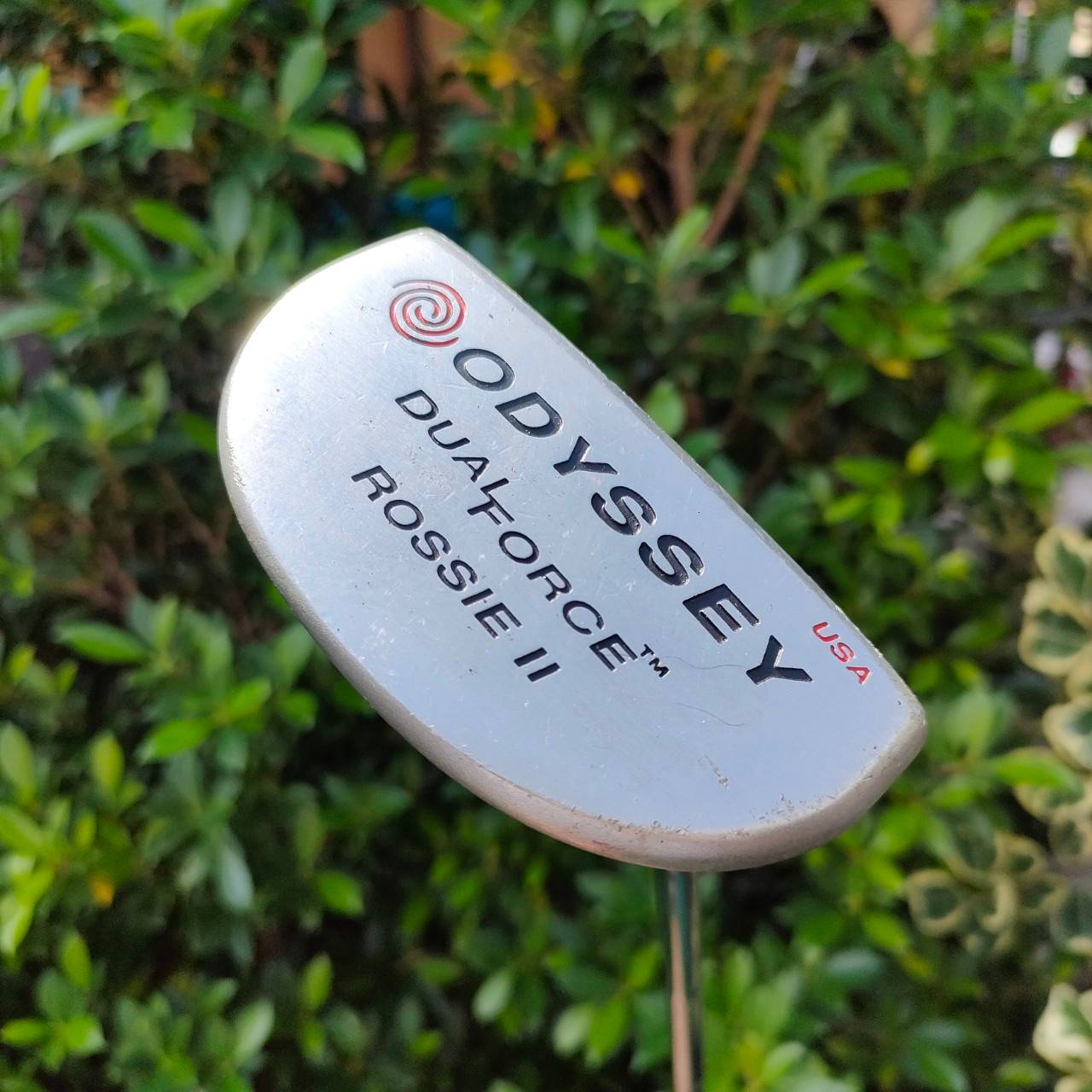 PUTTER ODYSSEY DUAL FORCE ROSSIE II ความยาว 34 นิ้ว หน้าดำ นุ่มหนึบ เกาะไลน์ ทองมอลเล็ต พัตต์ง่าย เล็งง่ายมากๆ
