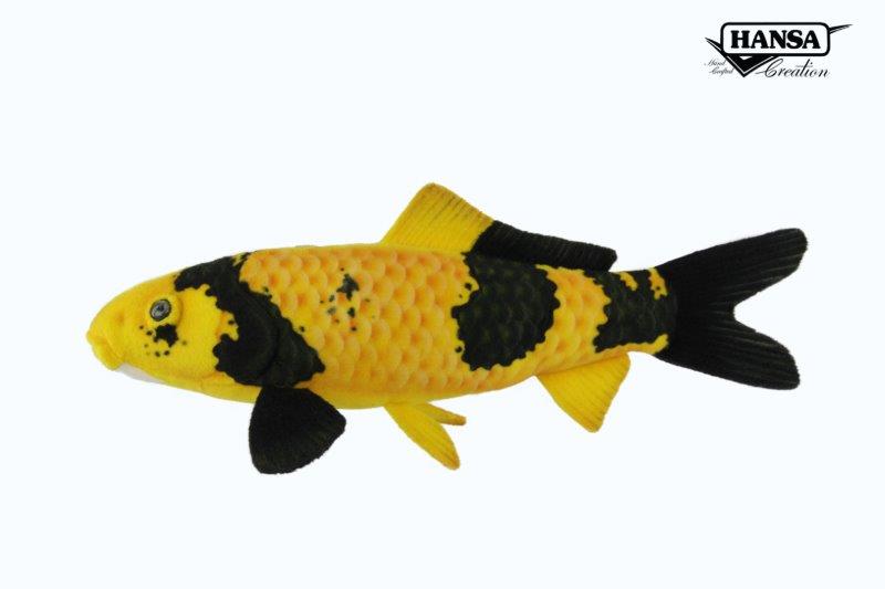 8283 Ki Utsuri Koi 52cm.L