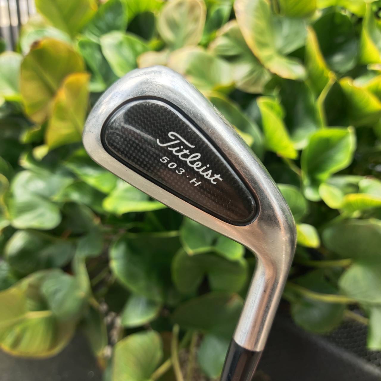 Titleist 503-H Loft 19° ออกแบบสำหรับ Tour Player ให้ตีง่ายกว่าหัวเหล็กยาว