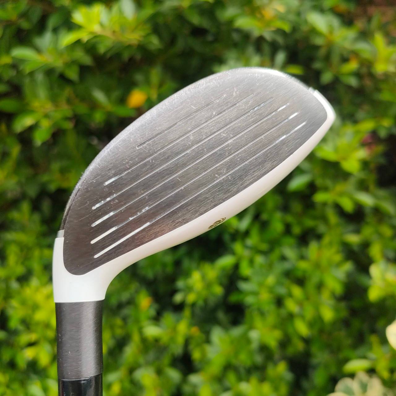 FW3 TAYLORMADE GLOIRE F ก้าน TAYLORMADE GL3000 FLEX R เป็นหัวสุดพรีเมี่ยม หายากมาก เน้นขายงาน JDM คือขายเฉพาะในญี่ปุ่นให้กับลูกค้าระดับ HI - END คุณภาพสู้กับ HONMA ได้อย่างสบายๆ!! ไม้กอล์ฟมือสอง ของแท้ BY NakaraLuxurious