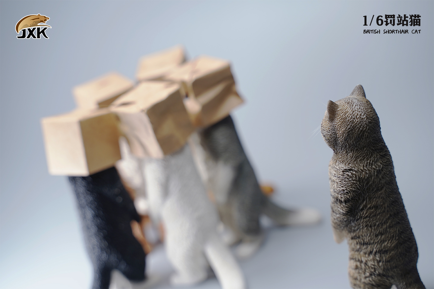 [สั่งจอง] JXK JXK084 1/6 : British Shorthair Cat