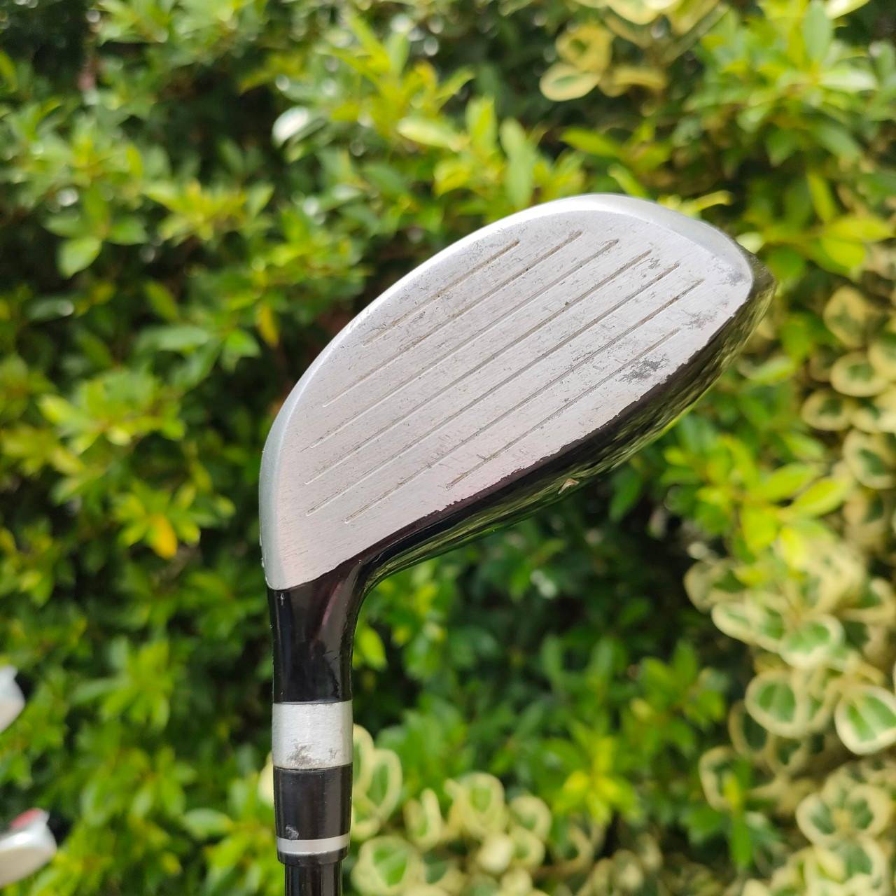 FULLSET BEN SAYERS M7 SERIES ไม้กอล์ฟครบสุด พร้อมออกรอบ ไม้สุดยอดคุณภาพ ได้หัวไม้ถึง 4 หัว ไฮบริดตีแทนเหล็กยาวได้ เหล็กตีง่าย พัตเตอร์สุดยอด!! ไม้กอล์ฟมือสอง ของแท้ BY NakaraLuxurious