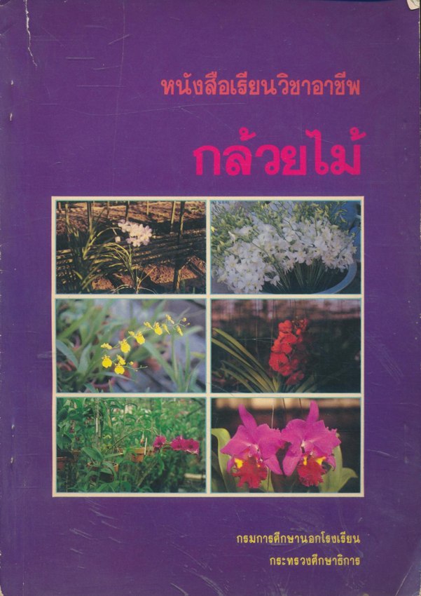 หนังสือเรียนวิชาอาชีพ กล้วยไม้