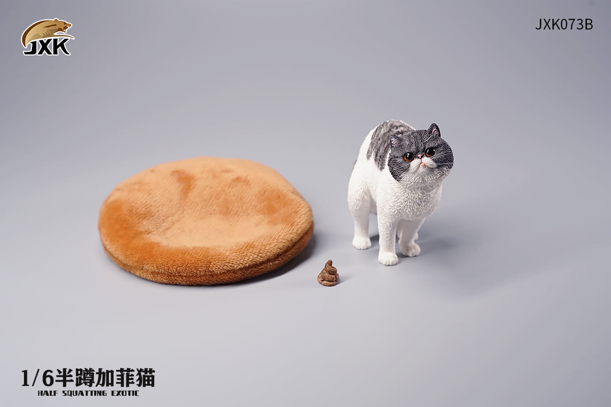 [สั่งจอง]JXK JXK073 ABCD 1/6 : Half squatting ExoticShorthair