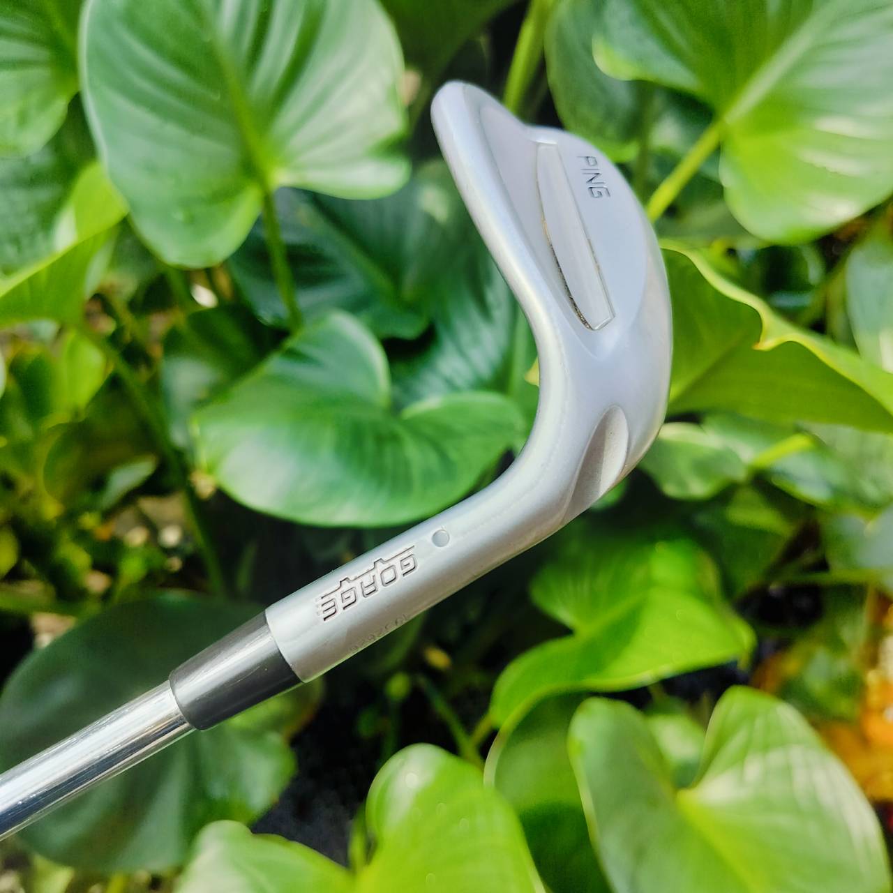 WEDGE PING GLID GORGE องศา 60 standard sole (SS) ก้าน CFS WEDGE FLEX เป็นสุดยอด WEDGE เลยค่ะ ชิพทั้งง่าย นุ่มนวล แม่นยำ ไม้กอล์ฟพรีเมี่ยมมือสอง ของแท้ By NakaraLuxurious
