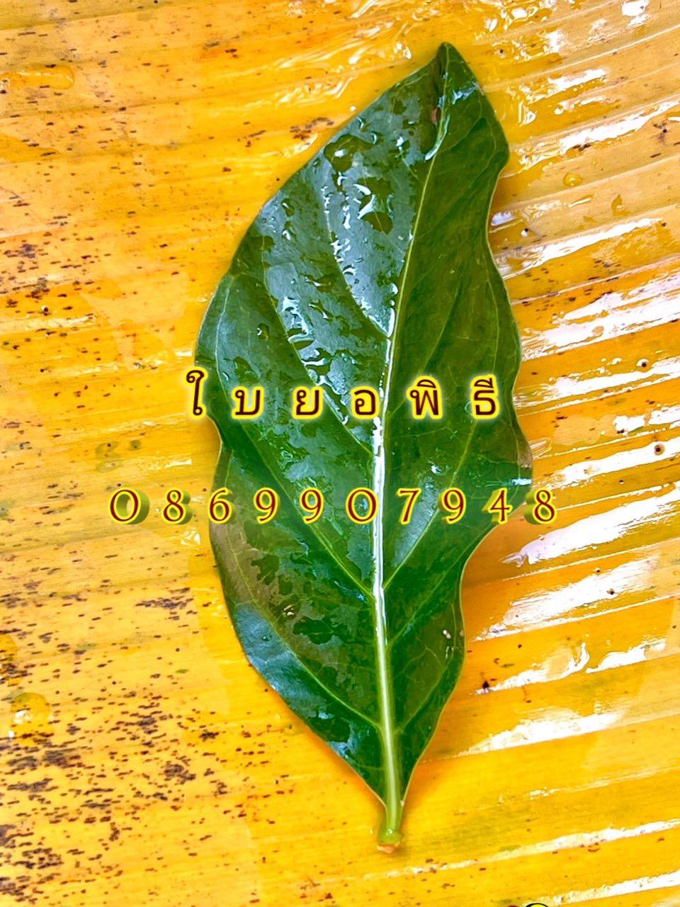 ใบไม้มงคล (พิธี)