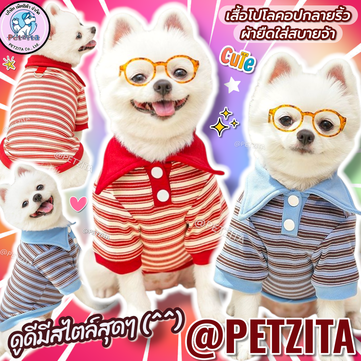 🇹🇭พร้อมส่ง🇹🇭 ❤️🔵 เสื้อโปโลมีแขนคอปกดีเทลกระดุมขาว ลายริ้วผ้ายืดใส่สบาย for pet เสื้อสุนัข ชุดหมา ชุดแมว