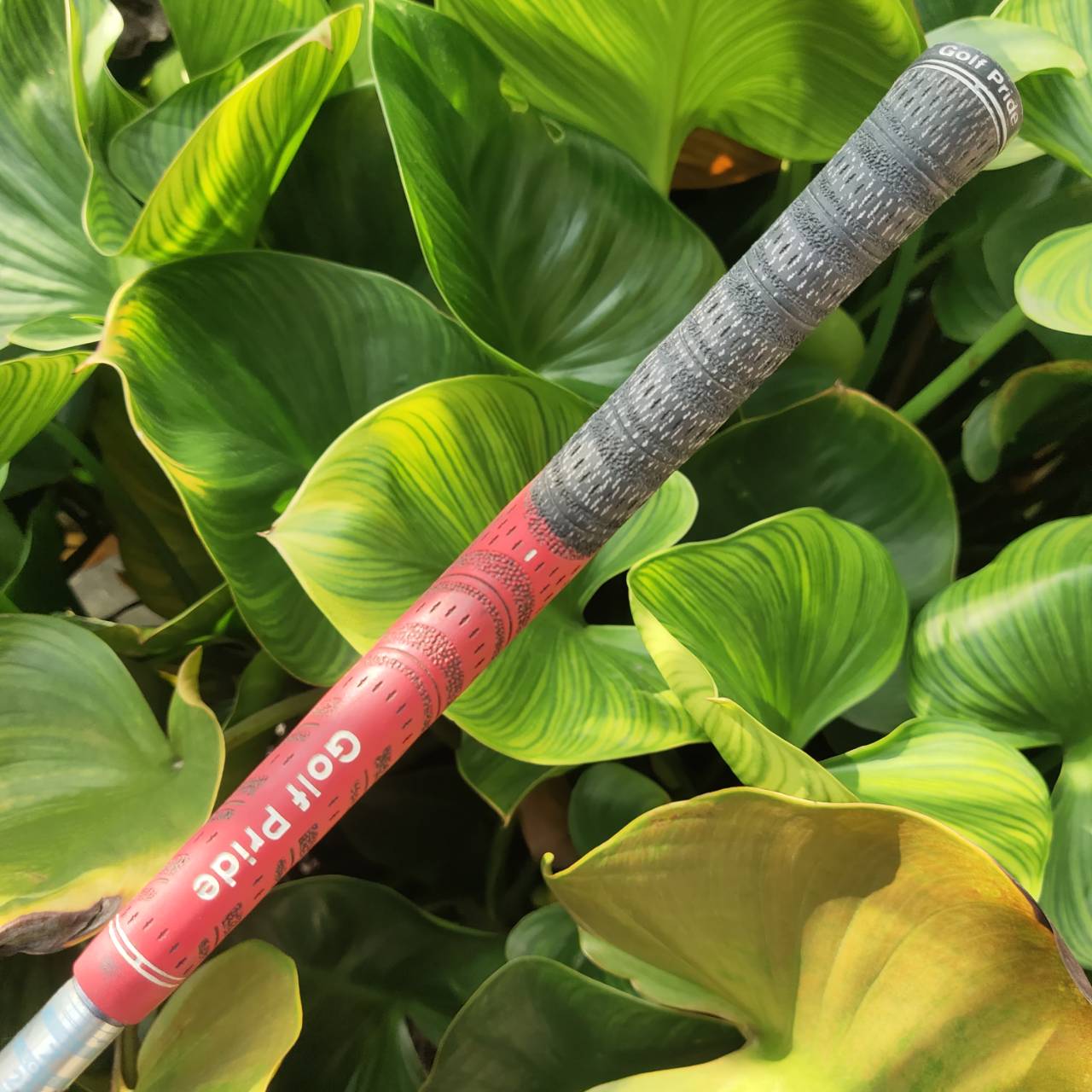 ไม้กอล์ฟผู้หญิง 7W - KING COBRA M/SPEED OFFSET หน้าเด้งมาก กระดองเด้งด้วย