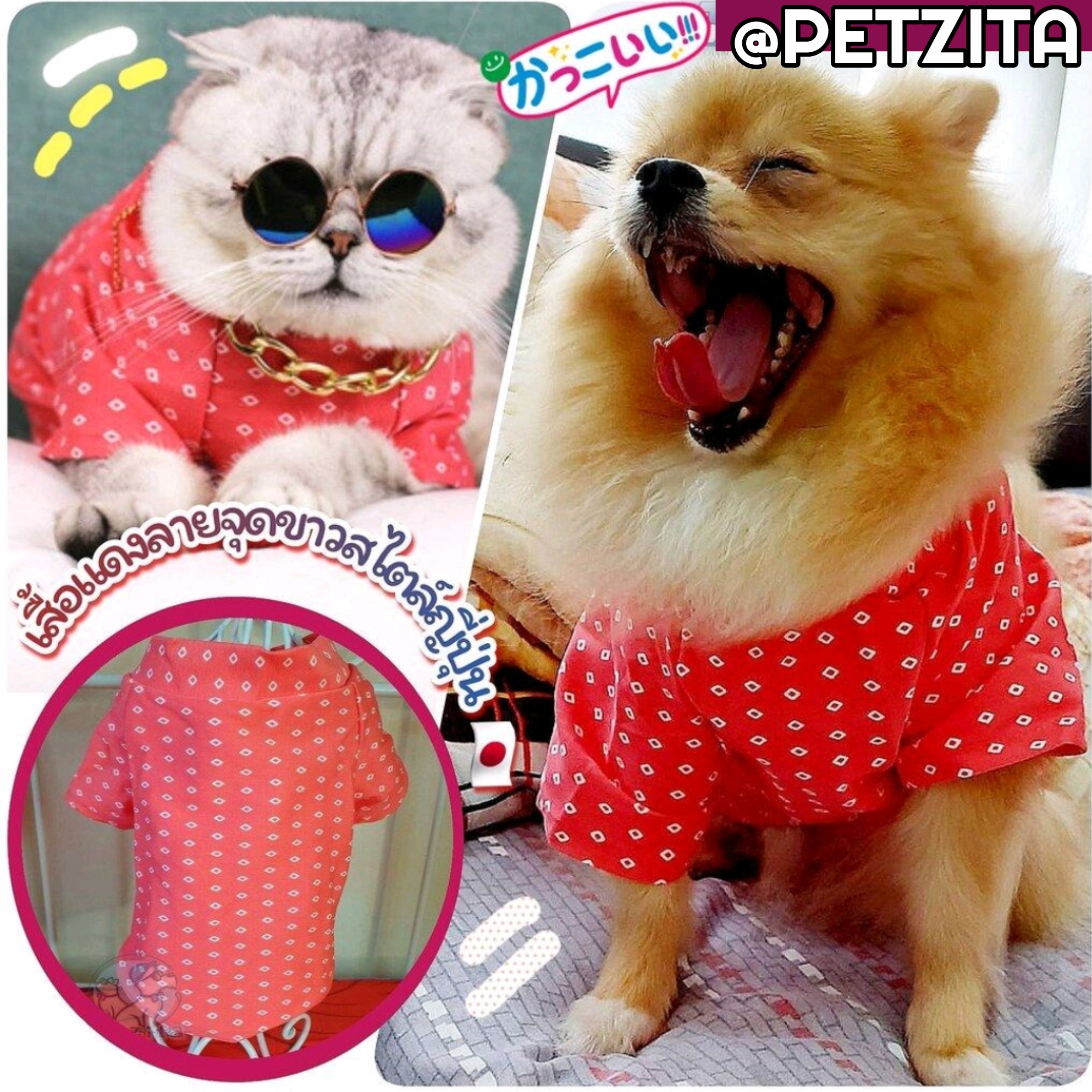 🇹🇭พร้อมส่ง🇹🇭 🔴🎉🧨🧧เสื้อแดง เสื้อตรุษจีน for pet สัตว์เลี้ยง สุนัข หมา แมว