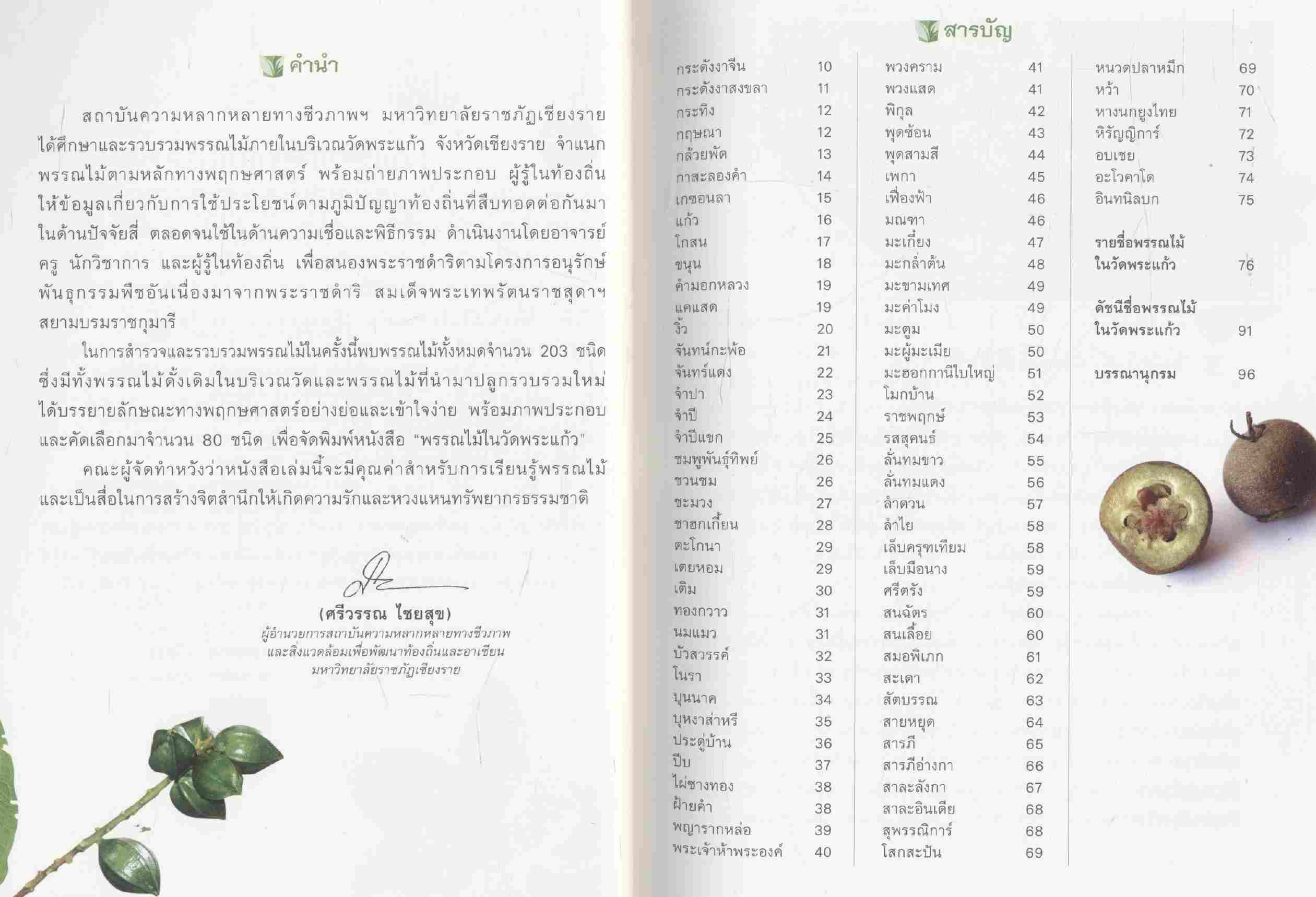 พรรณไม้ในวัดพระแก้ว จังหวัดเชียงราย ภาพสี กระดาษมัน