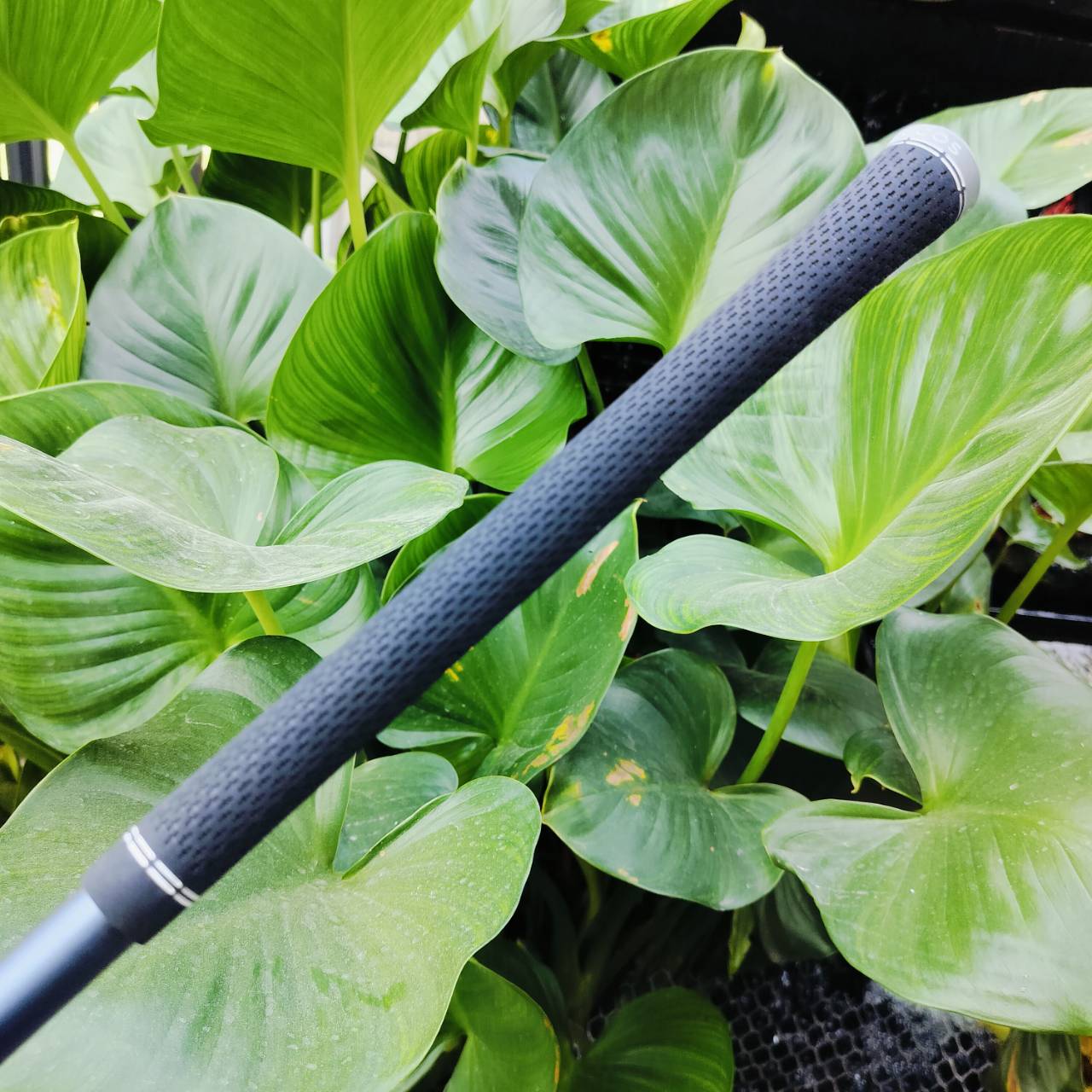 ก้าน ALTRA JCB สภาพใหม่มาก สุดยอดก้านคุณภาพของ PING ไม่เหมือนแบรนด์ไหน ดีมาก ดังมาก ไม้กอล์ฟพรีเมี่ยมมือสอง ของแท้ By NakaraLuxurious