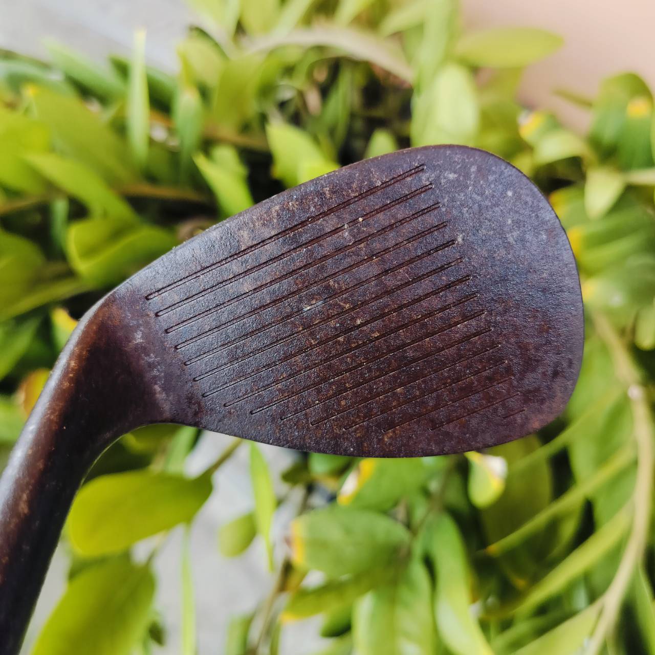 WEDGE COBRA Trusty Rusty องศา 57 ก้าน COBRA WEDGE FLEX กริพ COBRA ผ้านใบทั้งชิ้น จับแน่น เป็น WEDGE สนิมไม่เคลือบ ให้ความรู้สึก ที่ดีในการชิพลูก สุดนุ่มนวล ไม้กอล์ฟพรีเมี่ยมมือสอง ของแท้ By NakaraLuxurious