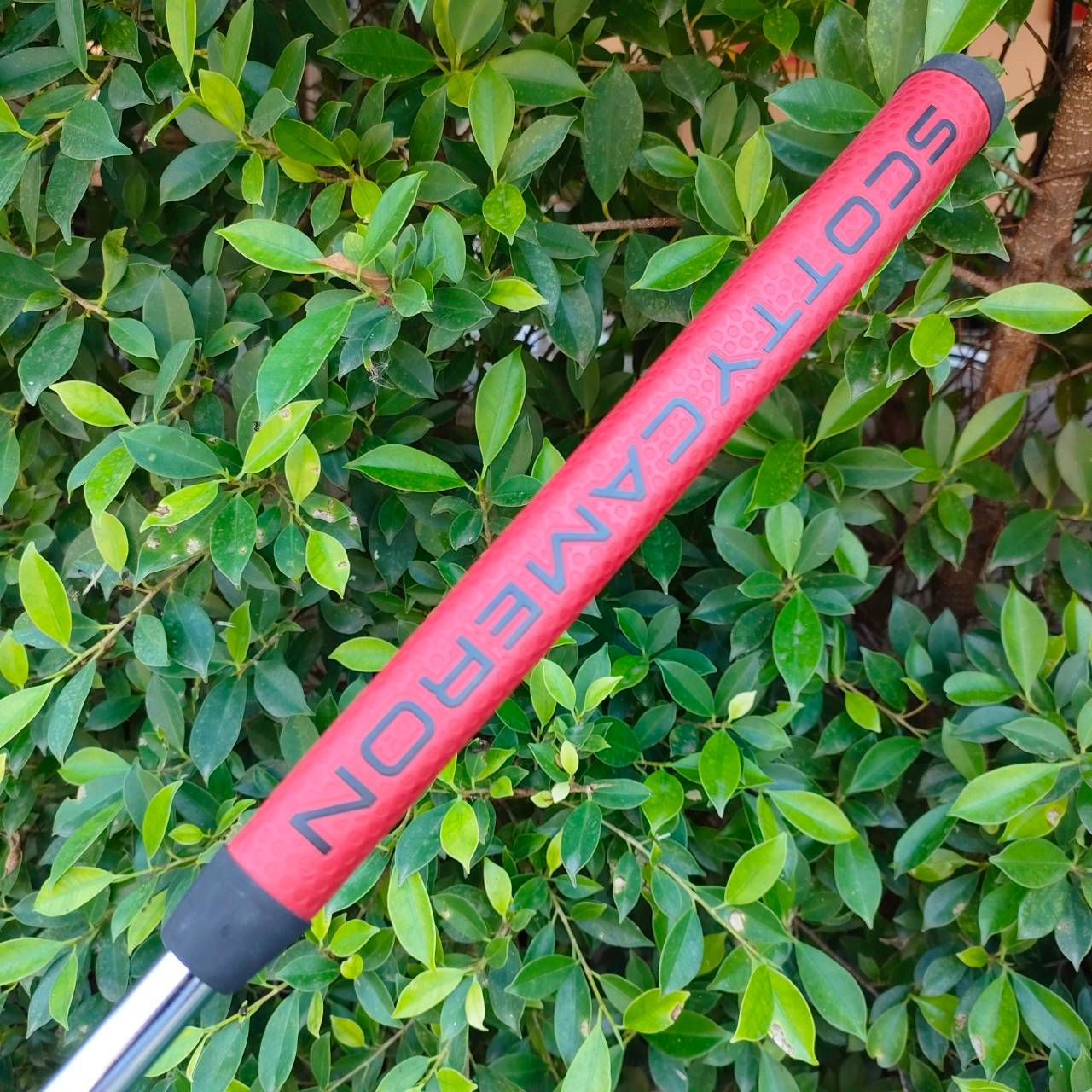 PUTTER SCOTTY CAMERON CIRCA 62 MODEL NO.2 ความยาว 35 นิ้ว งานแฮนด์เมด ในขณะที่ยังคงรักษาสไตล์ที่เหนือกาลเวลาของพัตเตอร์สีแบบคลาสสิก ไม้กอล์ฟมือสอง ของแท้ BY NakaraLuxurious